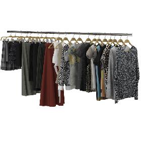 Clothes on Hangers 05